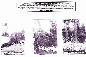 06 SCOUTS DE FRANCE GROUPE BAYARD 1 ERE ORAN zc0068